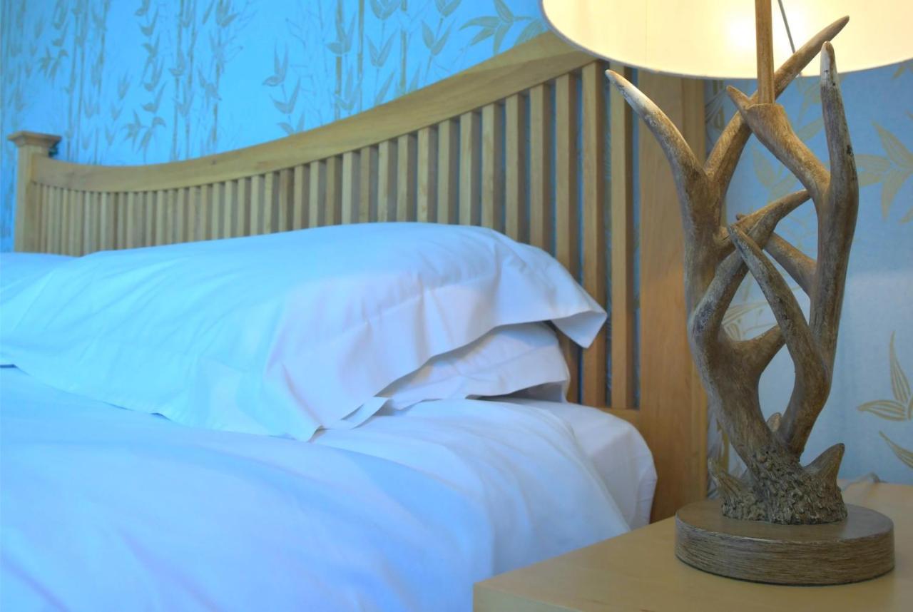 No12 Bed And Breakfast, St Andrews Exteriér fotografie